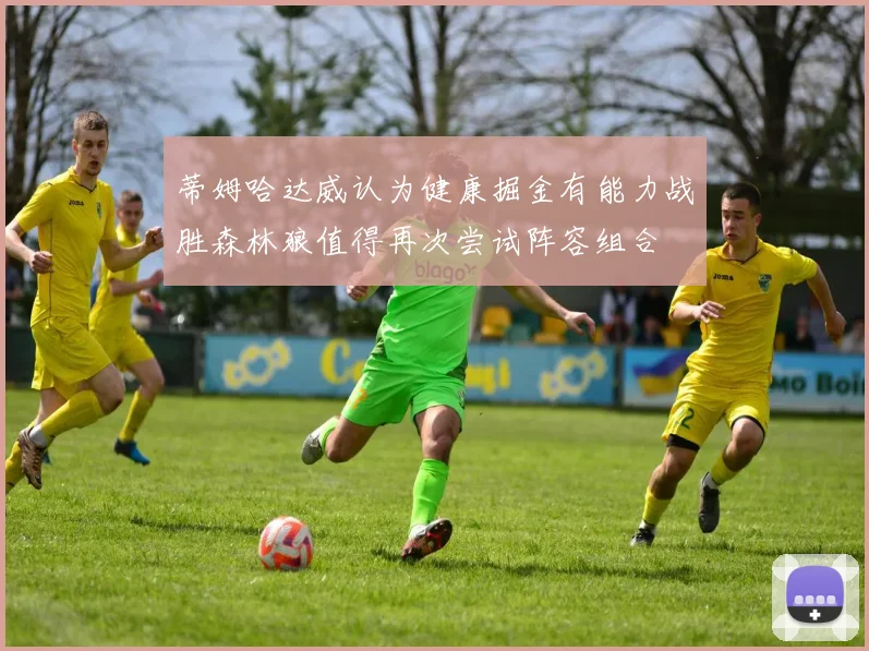 蒂姆哈达威认为健康掘金有能力战胜森林狼值得再次尝试阵容组合
