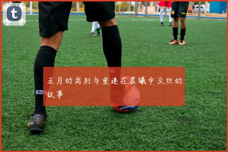 五月的离别与重逢在晨曦中交织的故事
